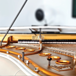 PH Piano Grand Excellence 37