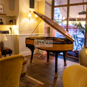 Piano PH Bow Grand 11