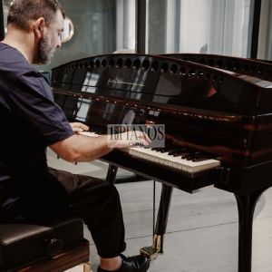 Piano PH Bow Grand 14