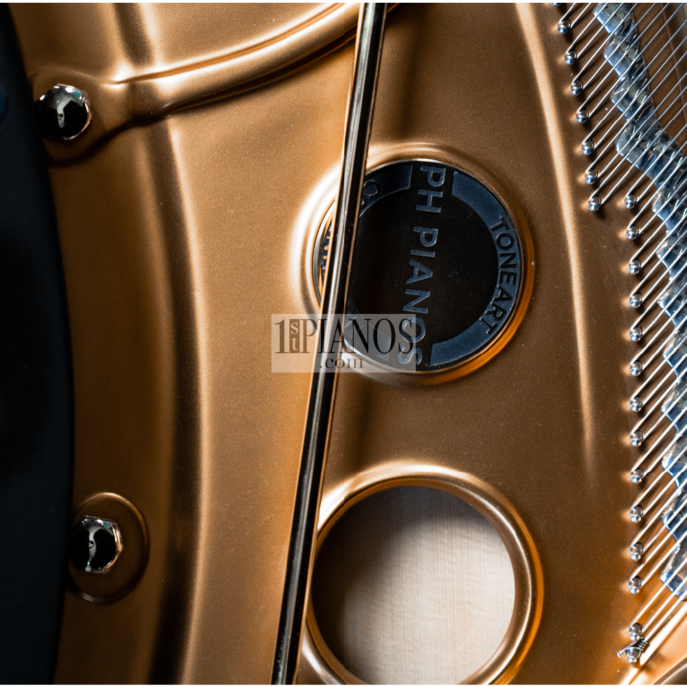 Piano PH Bow Grand 16 Piano PH Bow Grand 16