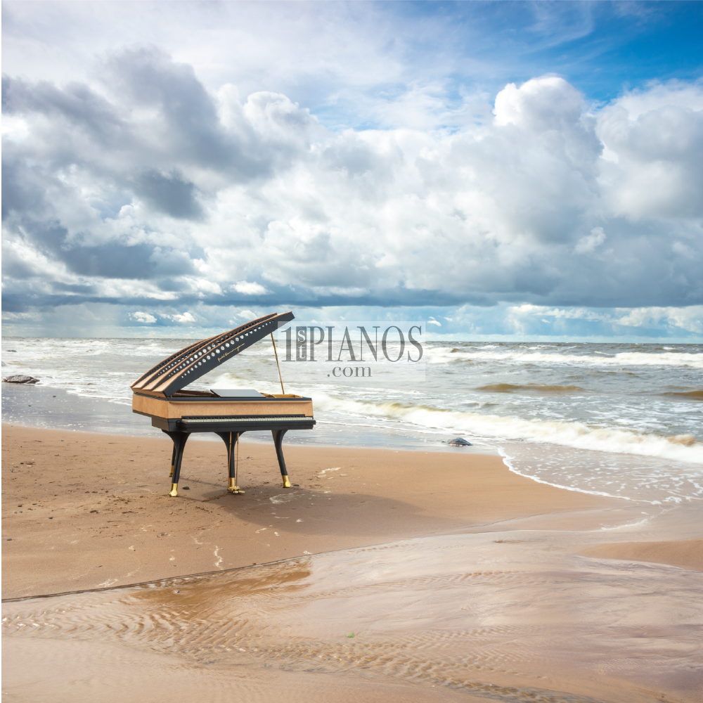 Piano PH Bow Grand 17 Piano PH Bow Grand 17