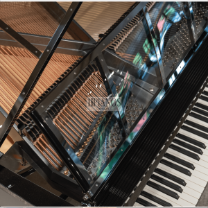 PH Piano Grand Excellence 15