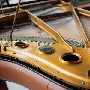 Piano PH Legacy 8