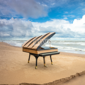 Piano PH Bow Grand 4