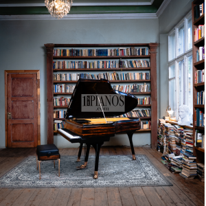 Piano PH Bow Grand 13